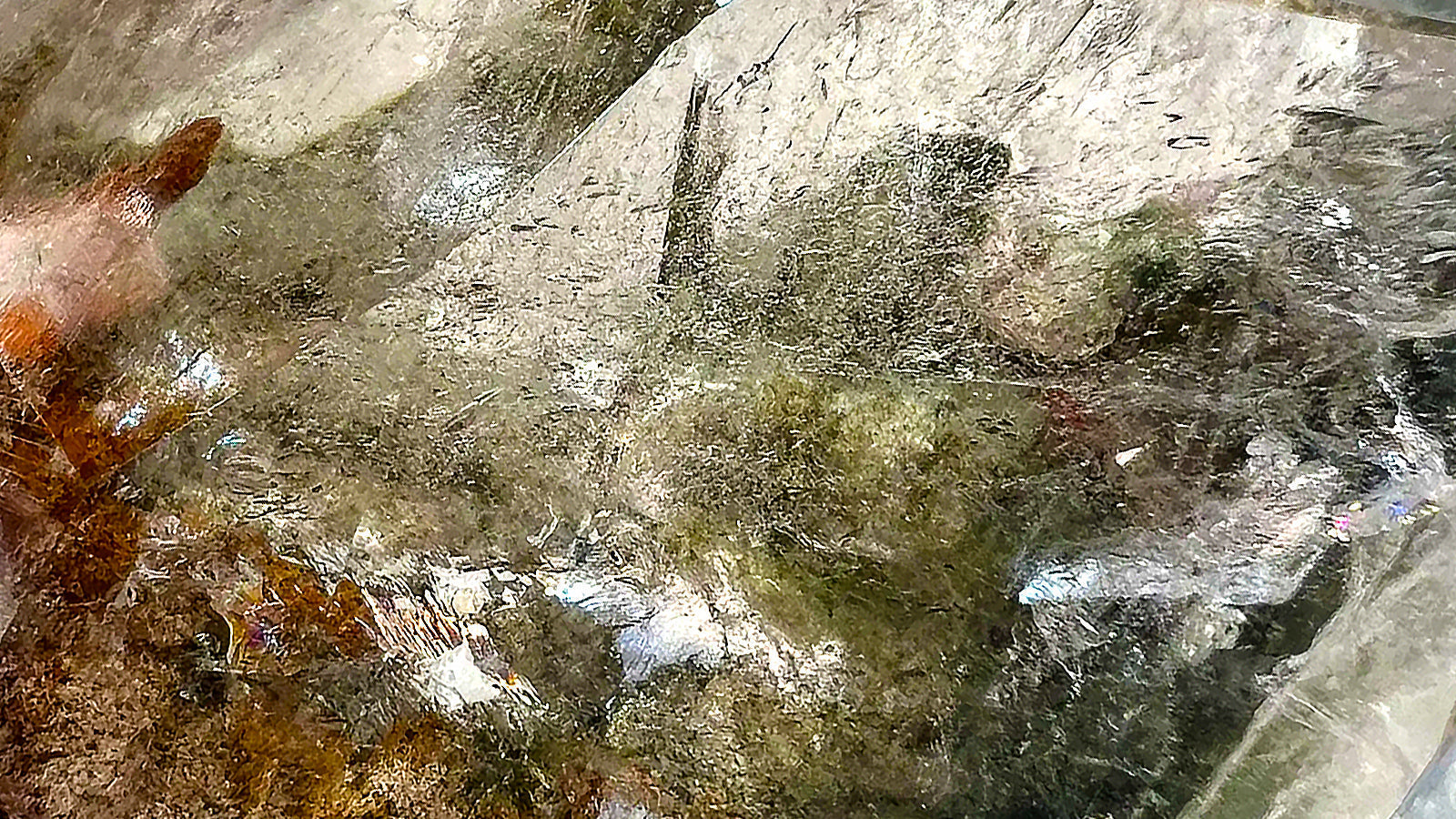 The Energetic Synergy of Four Seasons and Snowflake Phantom Quartz: A Guide to Balance and Healing